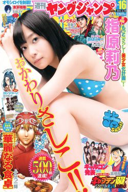 电视剧李小龙传奇